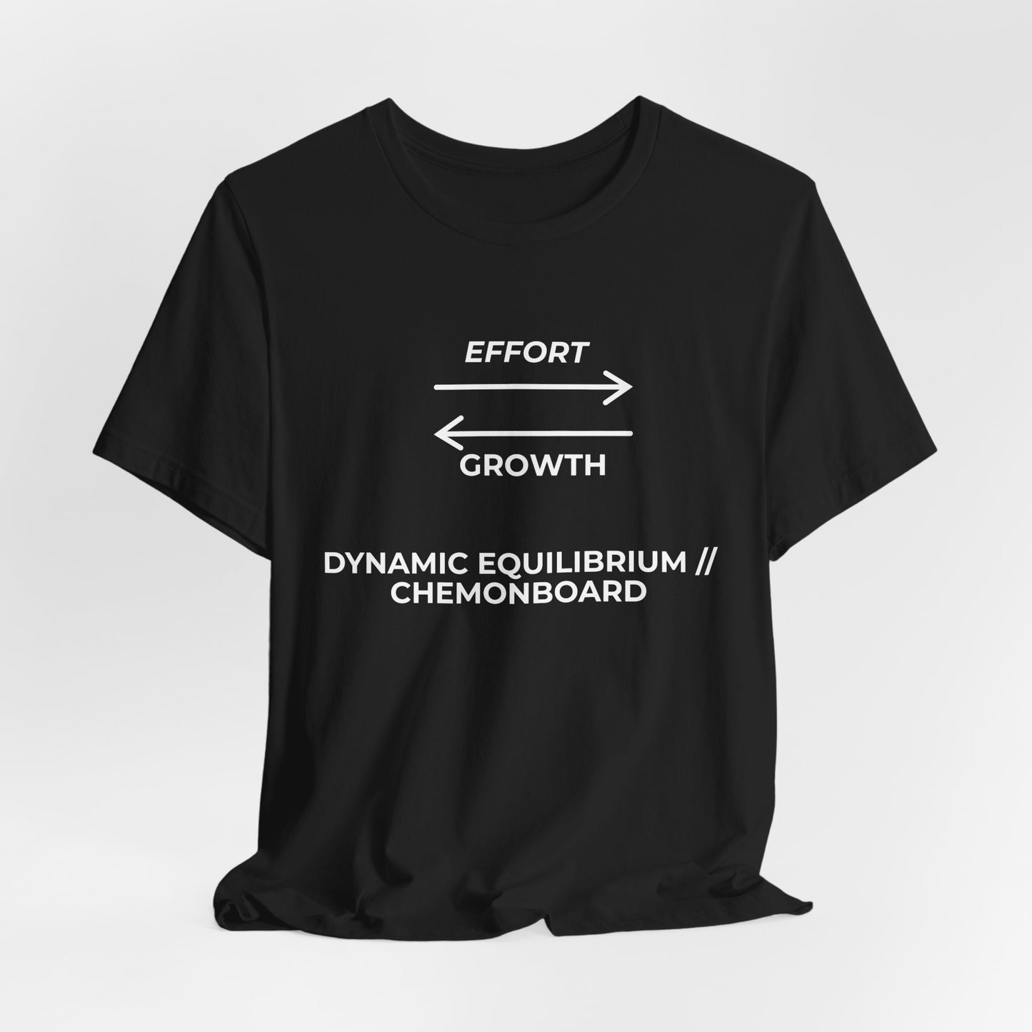 C01 Foundations // Dynamic Equilibrium Tee